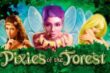 Pixies OF The Forest Slot