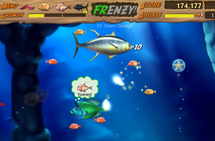 Fishin-Frenzy-Slots-Not-On-Gamstop